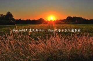 Bibo如何充值交易平台，Bibo交易平台充值教程