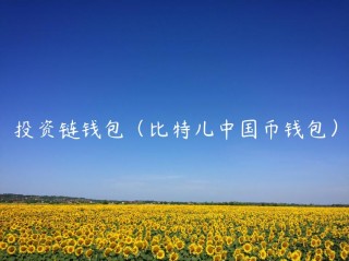 投资链钱包（比特儿中国币钱包）