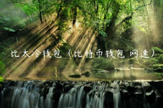 比太冷钱包（比特币钱包 网速）