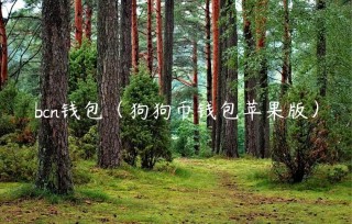 bcn钱包（狗狗币钱包苹果版）