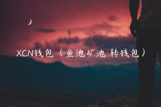 CN钱包（鱼池矿池 转钱包）