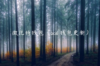 微比特钱包（bcd 钱包更新）