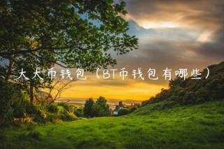 大大币钱包（BT币钱包有哪些）