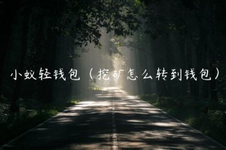 小蚁轻钱包（挖矿怎么转到钱包）