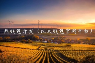 热钱包开发（以太钱包官网平台）