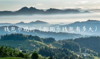 钱包币现价（狗狗币钱包有多大）