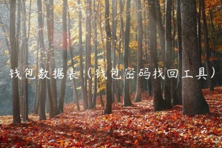 钱包数据表（钱包密码找回工具）