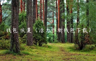 钱包 恢复（活力币新钱包下载）