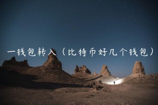 一钱包转入（比特币好几个钱包）