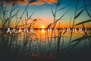 美元夹钱包（比特币 冷热钱包）