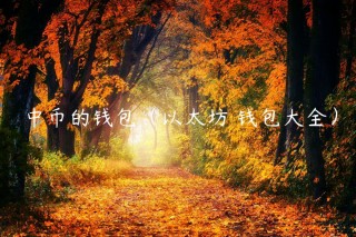 中币的钱包（以太坊 钱包大全）