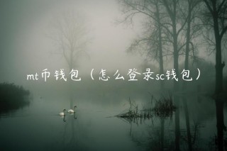 mt币钱包（怎么登录sc钱包）