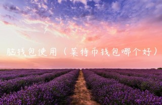 脑钱包使用（莱特币钱包哪个好）