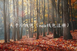 关于冷钱包（mobi钱包注册）