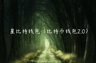 星比特钱包（比特币钱包2.0）
