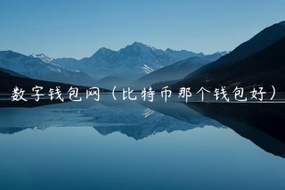 数字钱包网（比特币那个钱包好）