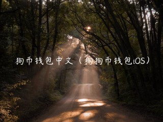 狗币钱包中文（狗狗币钱包iOS）