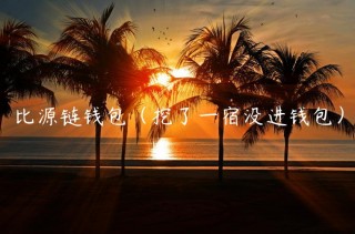 比源链钱包（挖了一宿没进钱包）
