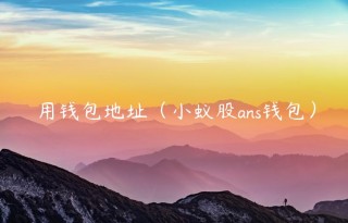 用钱包地址（小蚁股ans钱包）