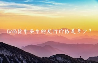BNB货BIAN币的发行价格是多少？