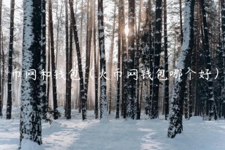 币网和钱包（火币网钱包哪个好）