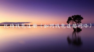 比特钱包注册（如何钱包连接网络）