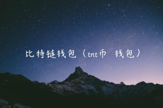 比特链钱包（tnt币  钱包）