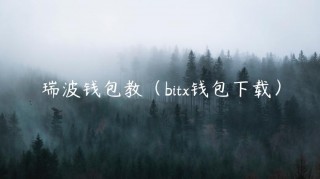 瑞波钱包教（bit钱包下载）