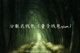 分散式钱包（量子钱包qtum）