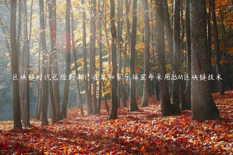 区块链时代已经到来！雀巢和家乐福宣布采用IBM区块链技术-第1张图片-欧意下载