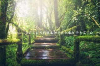 明晟MSCI：目前正在考虑推出加密货币指数 与专家讨论