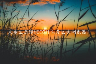 火币生态链HCO什么是区块浏览器！