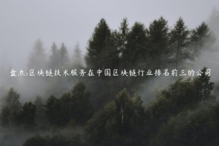 盘点:区块链技术服务在中国区块链行业排名前三的公司