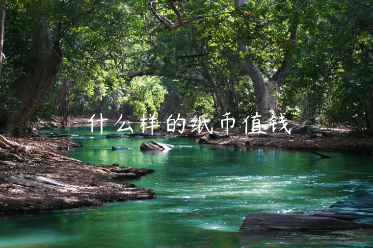 什么样的纸币值钱-第1张图片-欧意下载