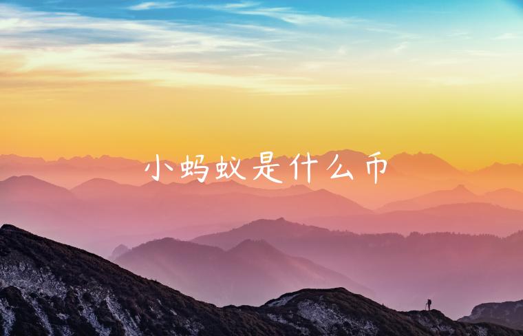 小蚂蚁是什么币-第1张图片-欧意下载