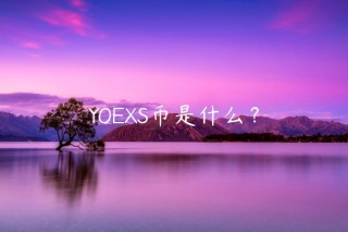 YOS币是什么？