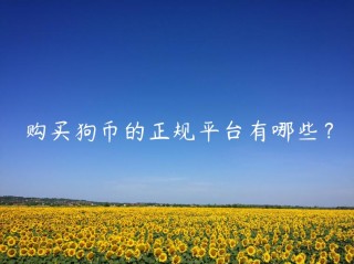 购买狗币的正规平台有哪些？