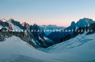 比特币大多头塞勒亏损亿美元坚持不卖声称贝佐斯年不会卖亚马逊