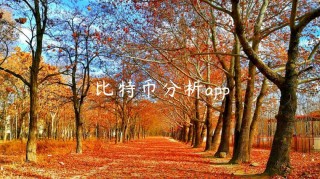 比特币分析app