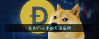 狗狗币未来的升值空间（狗狗币未来涨到150美元）