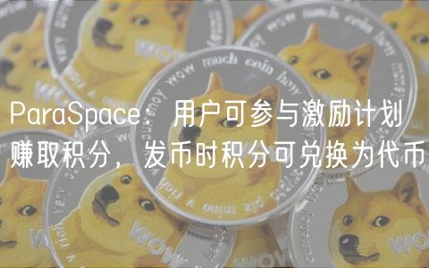 ParaSpac：用户可参与激励计划赚取积分，发币时积分可兑换为代币