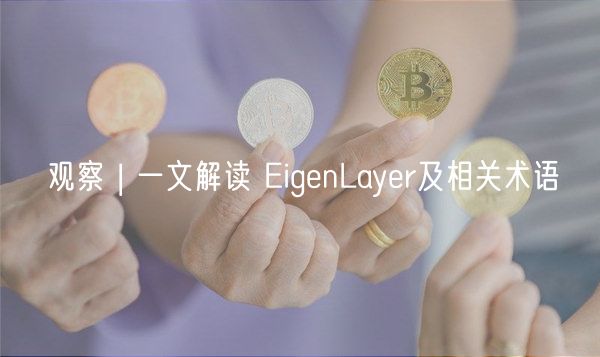 观察 | 一文解读 ignLayr及相关术语