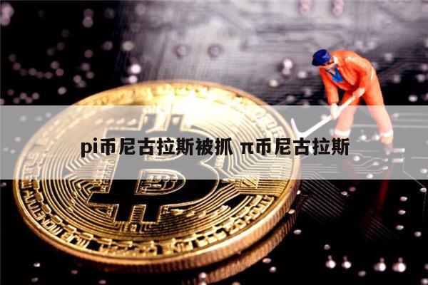 pi币尼古拉斯被抓了吗 pi币主网上线时间-第1张图片-欧意下载