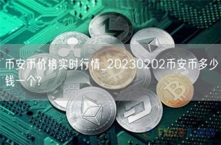 BIAN币价格实时行情_20230202BIAN币多少钱一个?