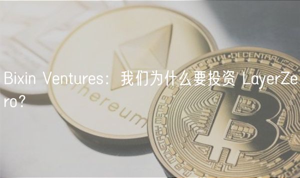 Biin Vnturs：我们为什么要投资 LayrZro？