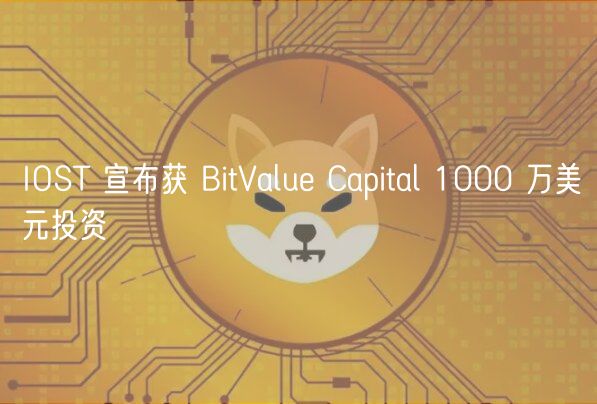 IOST 宣布获 BitValu Capital 1000 万美元投资