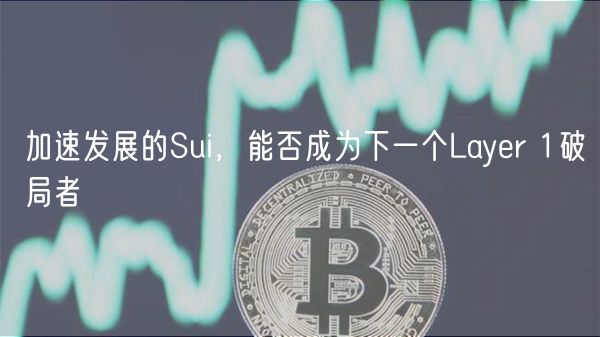 加速发展的Sui，能否成为下一个Layr 1破局者