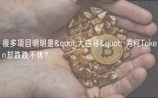 很多项目明明是&quot;大白马&quot; 为何Tokbn却跌跌不休？