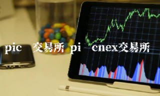 pic币交易所 pi币cnb交易所