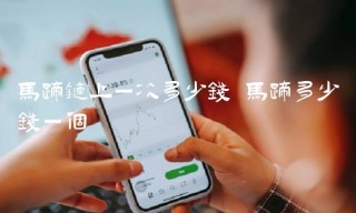 马蹄链上一次多少钱 马蹄多少钱一个